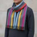 Swole Panda - Mens Multi Fine Stripe Bamboo Scarf - Wildvine Clothing, Spalding, Lincolnshire